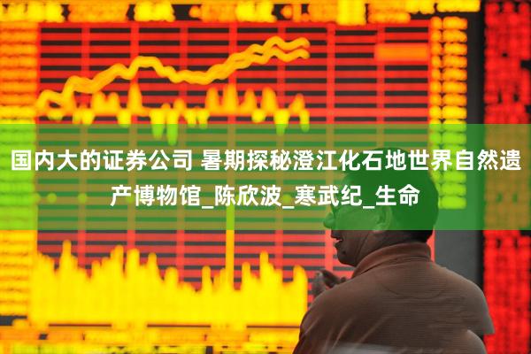 国内大的证券公司 暑期探秘澄江化石地世界自然遗产博物馆_陈欣波_寒武纪_生命