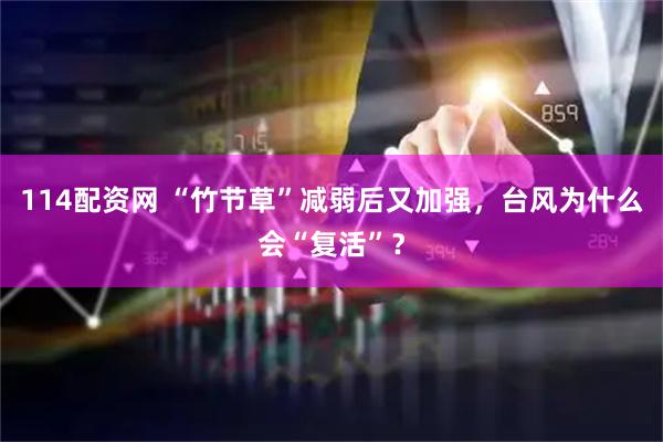 114配资网 “竹节草”减弱后又加强，台风为什么会“复活”？